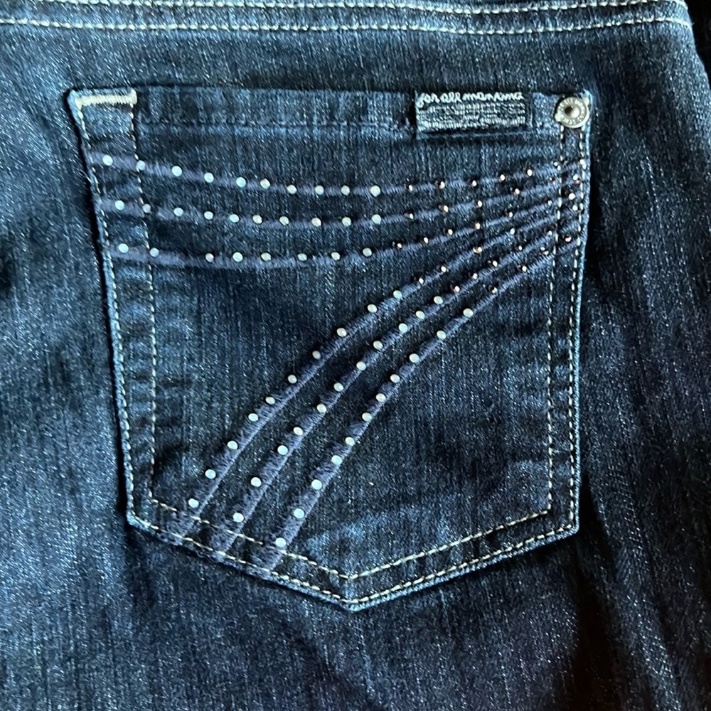 7 for all mankind Dojo Dark Longs